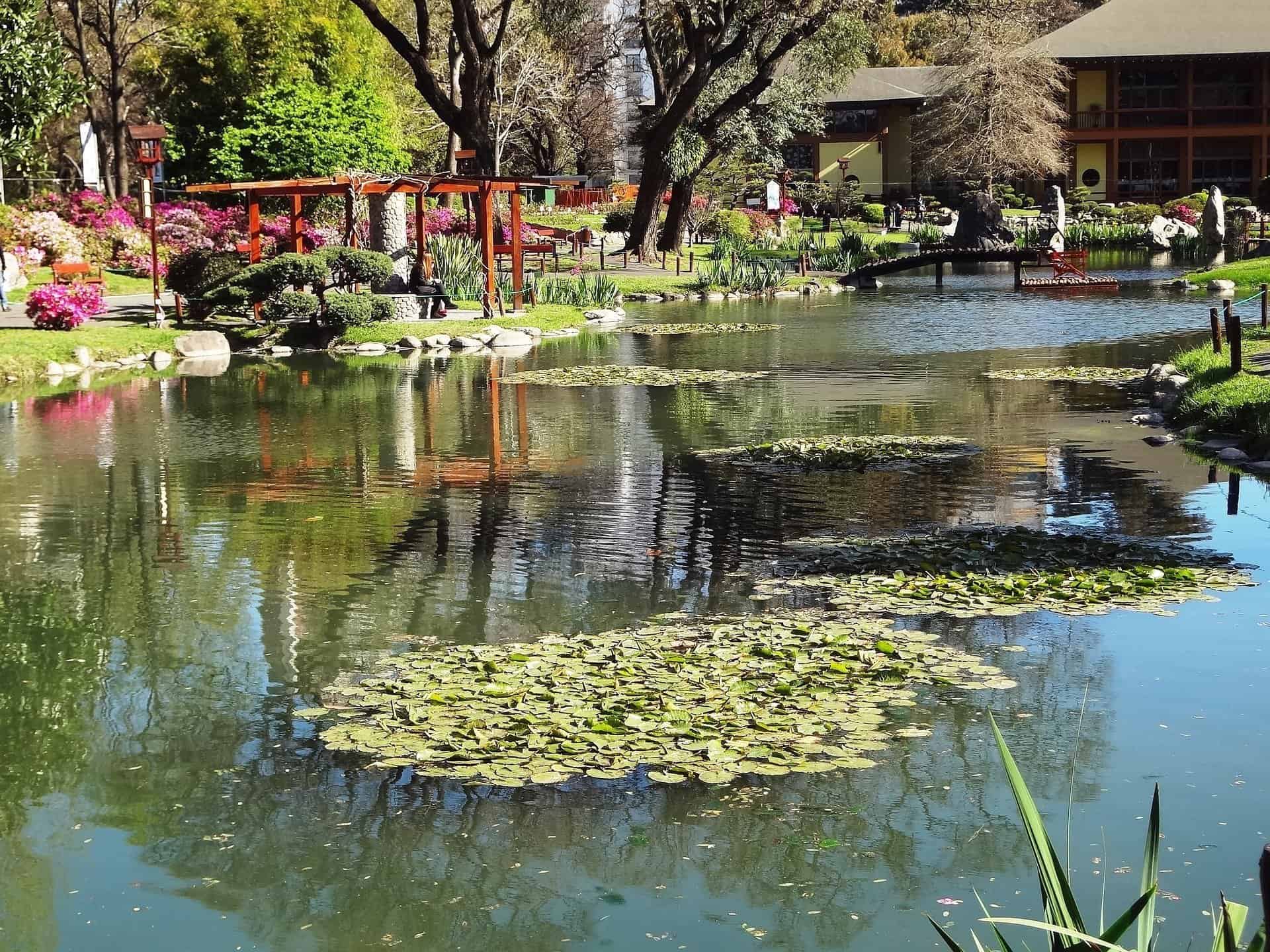 Jardin Japones Jardim Japones Buenos Aires Argentina Jardim Japones Japanese Gardens